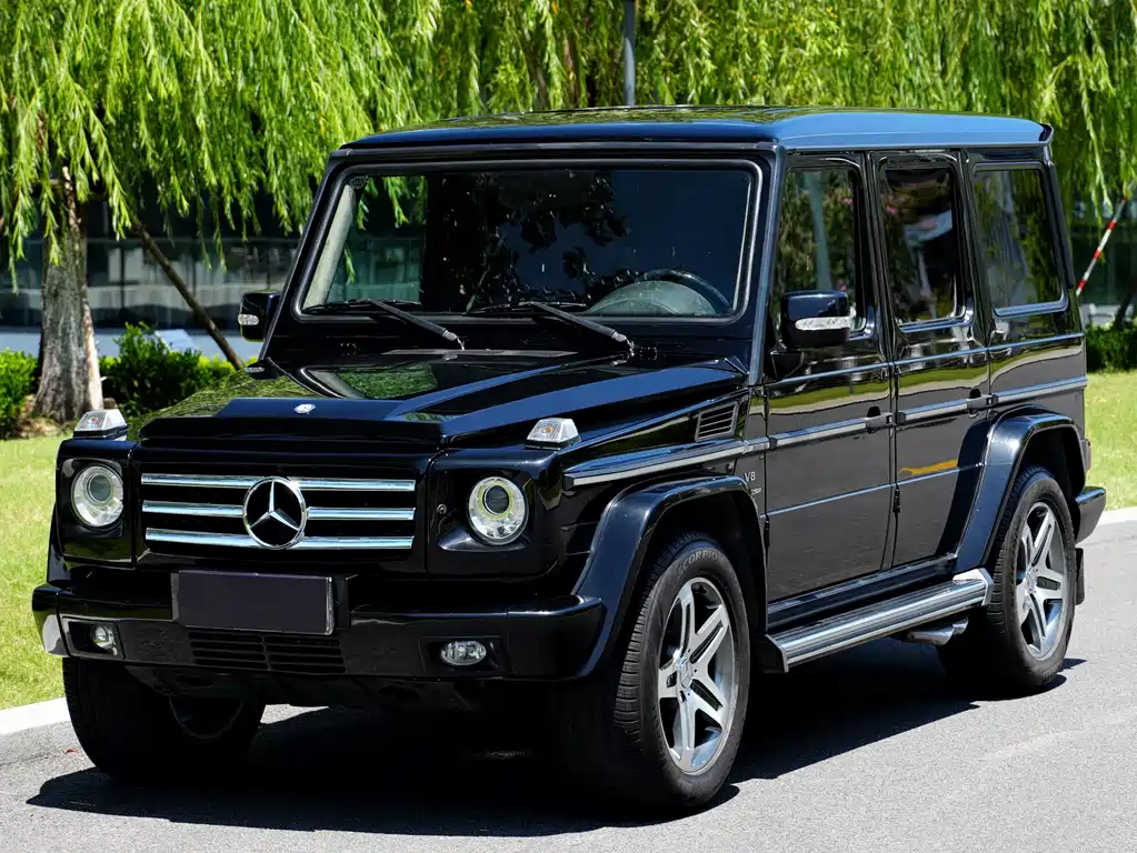 Mercedes-Benz G-Class AMG 2010