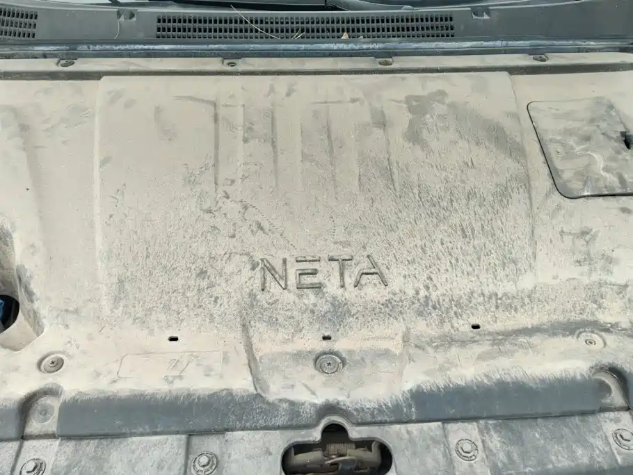 Neta Neta V — миниатюра 10