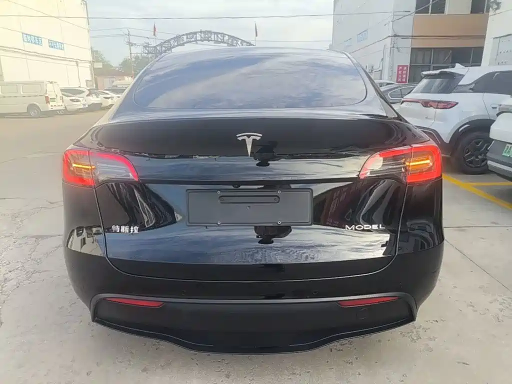 Tesla Model Y — миниатюра 6