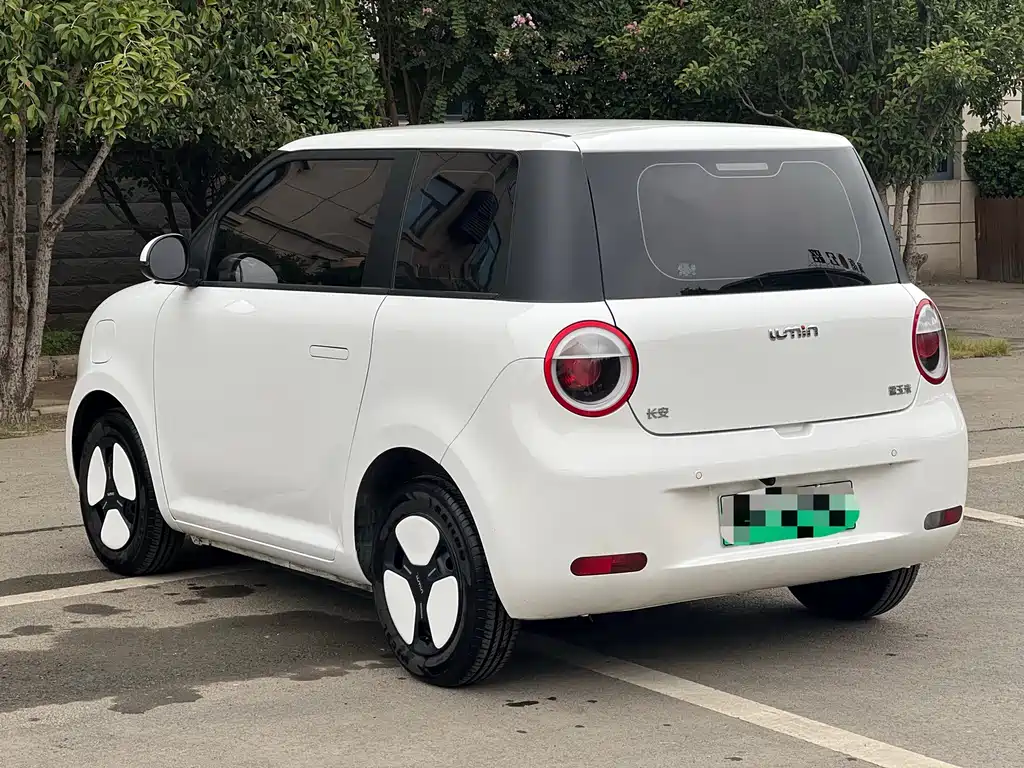 Qiyuan Lumin — миниатюра 9