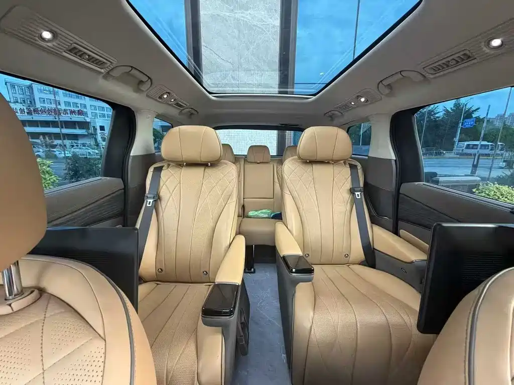Denza Denza D9 — миниатюра 6
