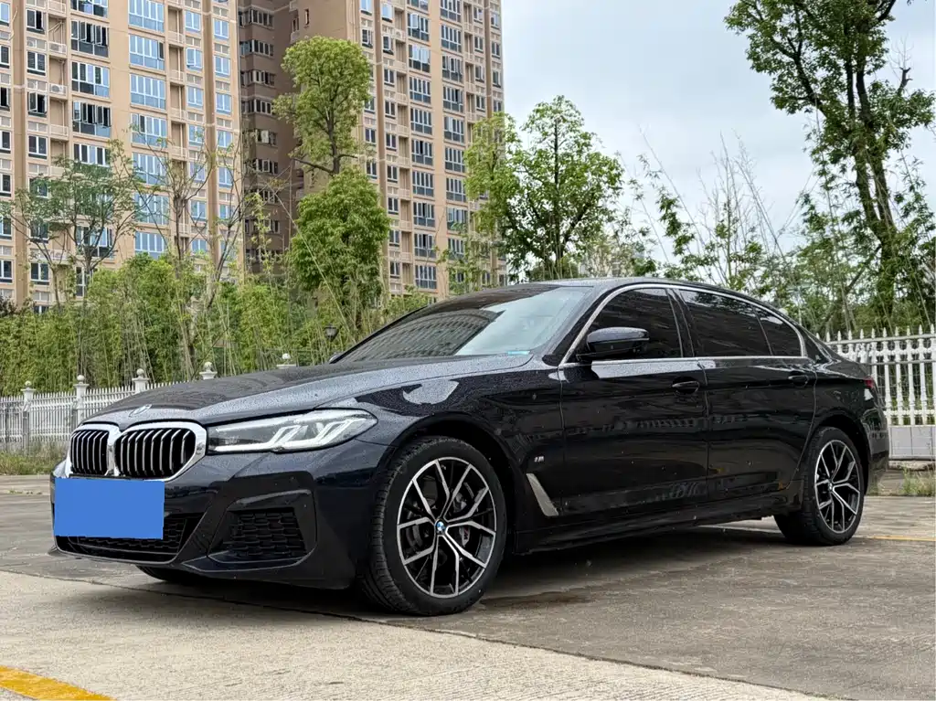 Купить BMW 5 Series
