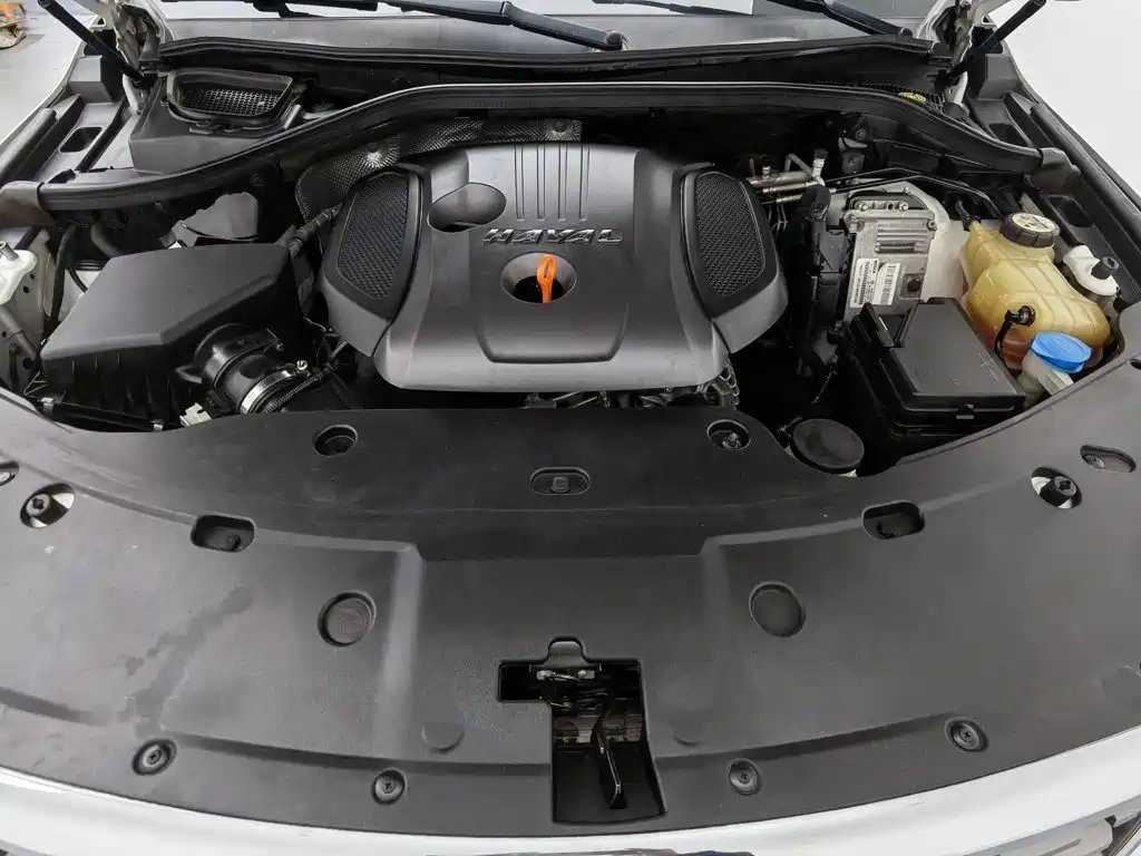 Haval H8 — миниатюра 6
