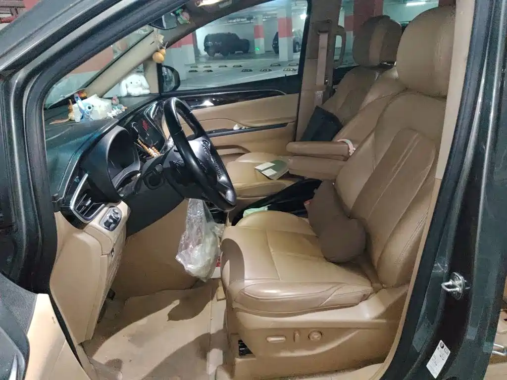 Buick GL8 — миниатюра 17