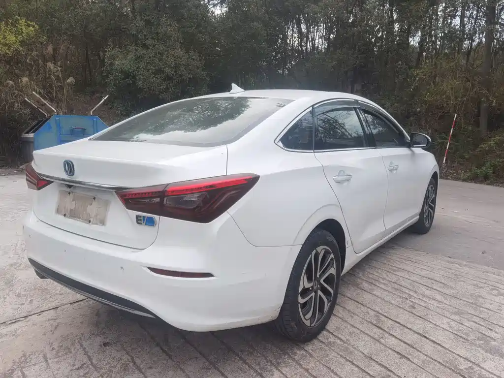 CHANGAN YIDONG NEW ENERGY