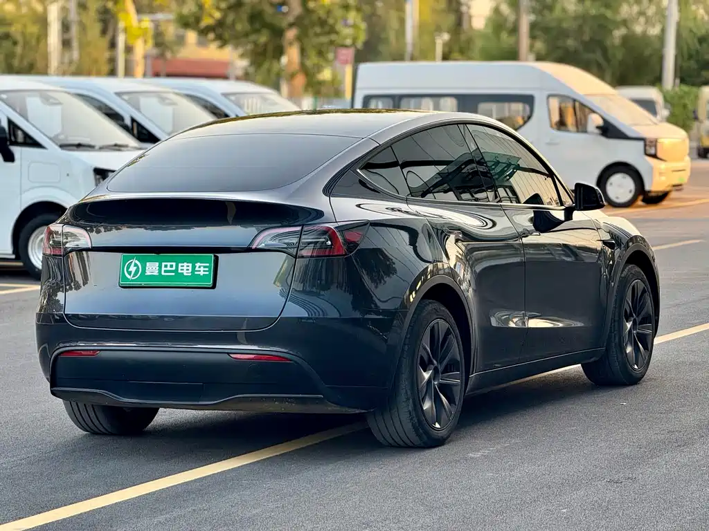 Tesla Model Y — миниатюра 8
