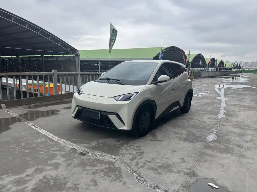 BYD Seagull