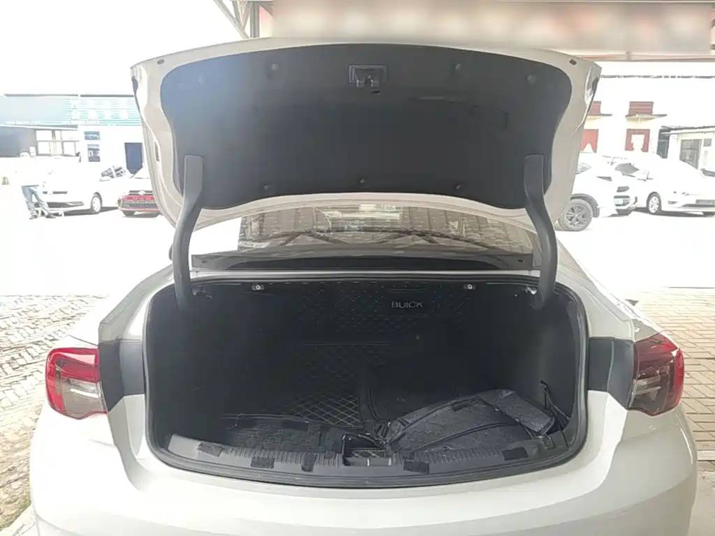 Buick Regal — миниатюра 19