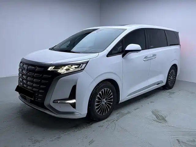 2023 Denza D9