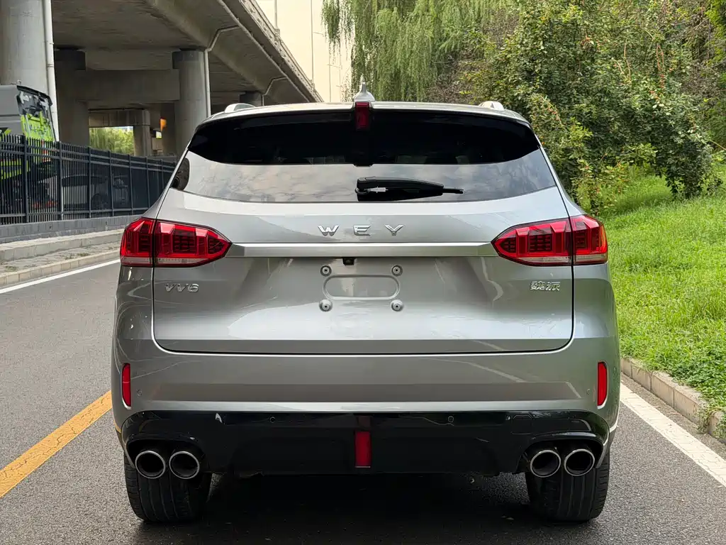 Wey Wey VV6 — миниатюра 18