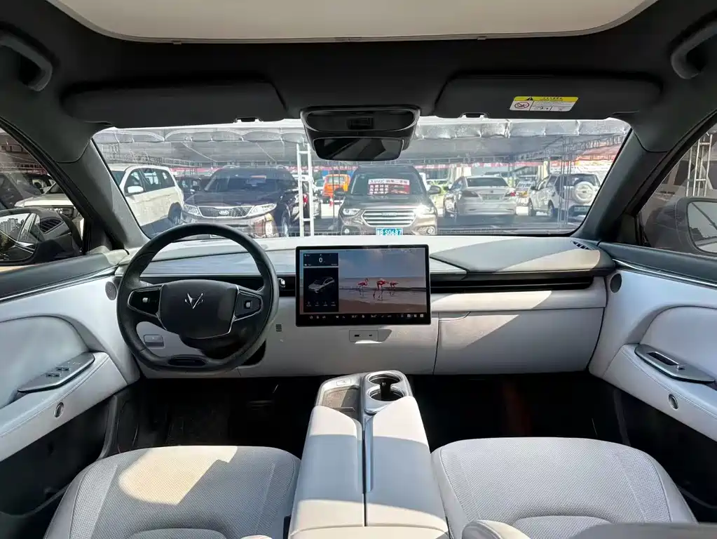 ARCFOX EXTREME FOX POLAR FOX ALPHA T5