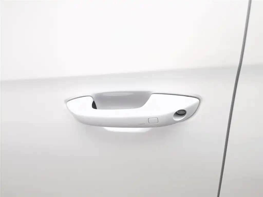 BYD SONGJIANG NEW ENERGY