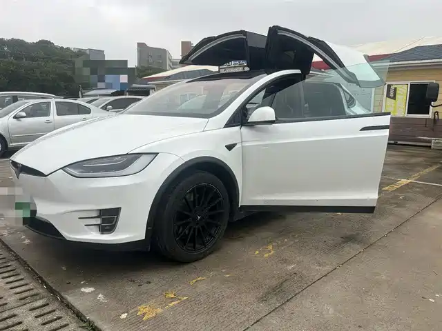 TESLA MODEL X 2018