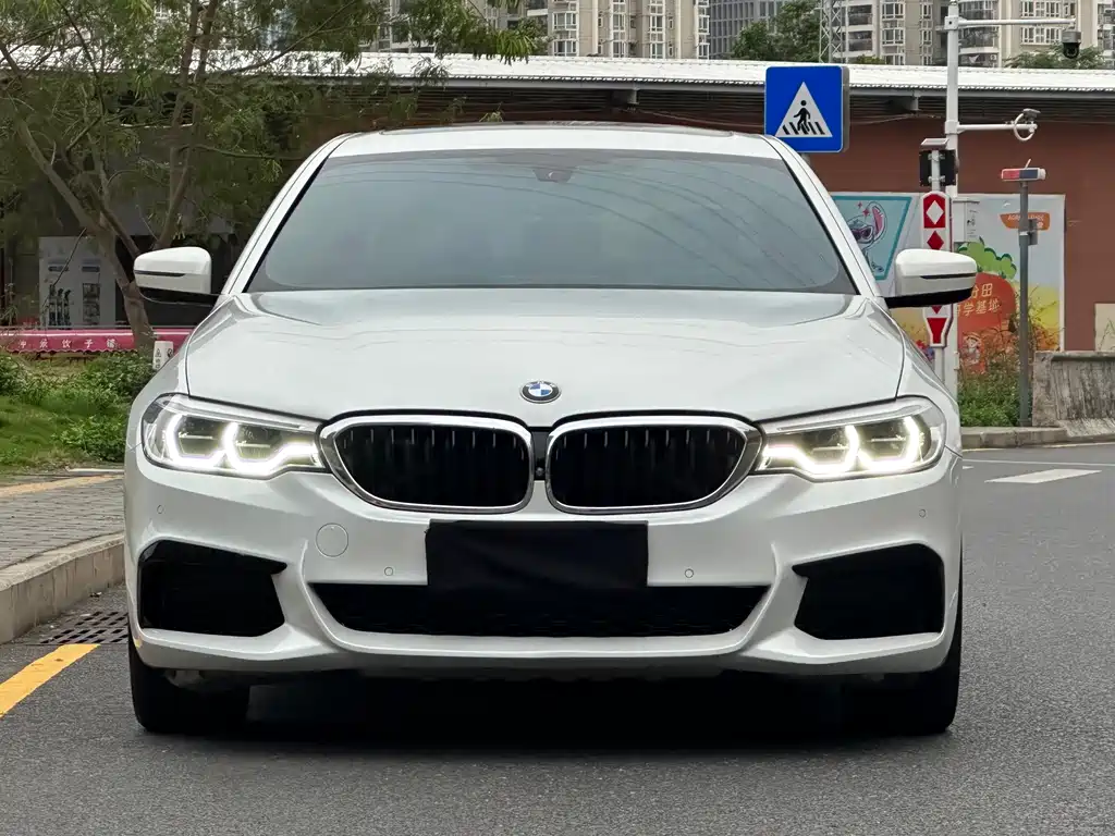 BMW 5 Series 5 2020 530Li Premium M Sport