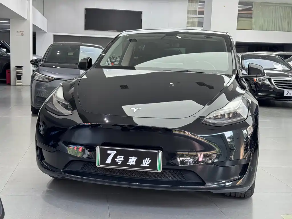 Tesla Model Y — миниатюра 2