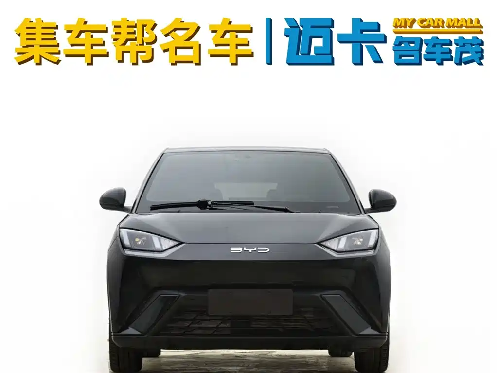 BYD Seagull 2024 305km Freedom