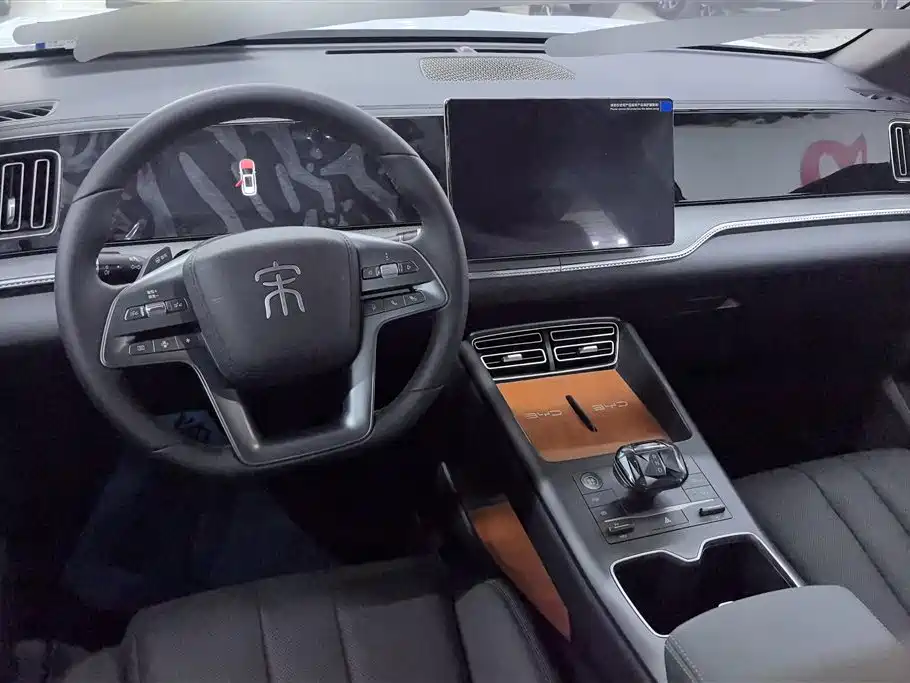 BYD SONGJIANG NEW ENERGY