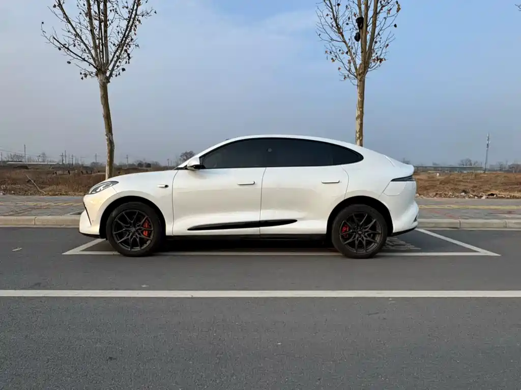 ZHIJI AUTOMOBILE ZHIJI LS6