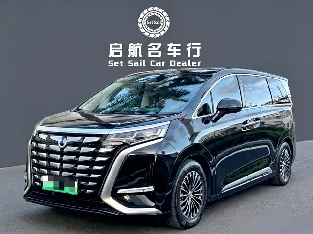 2024 Denza D9