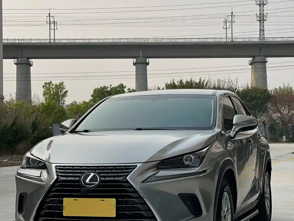 Lexus NX 2018 300 FWD Edge Travel Edition