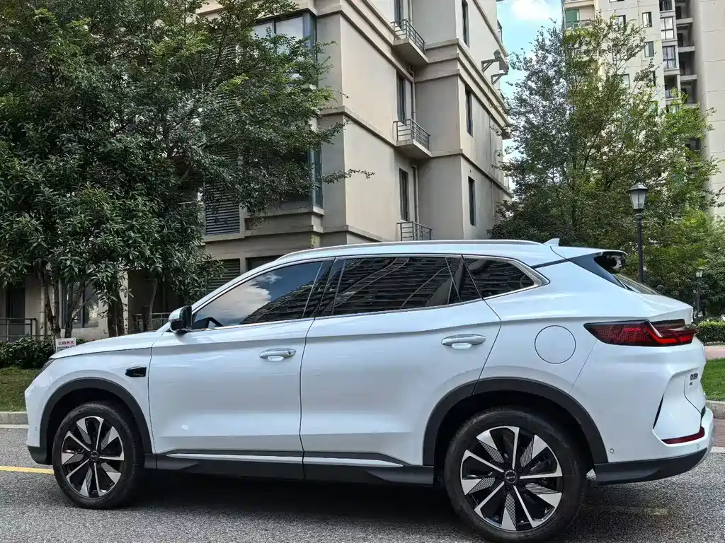 BYD SONGJIANG NEW ENERGY