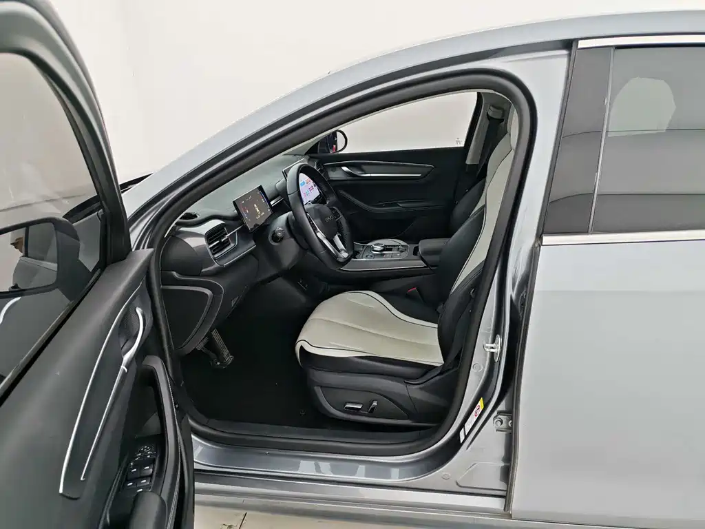BYD Destroyer 05 2024 DM-i 55KM Luxury