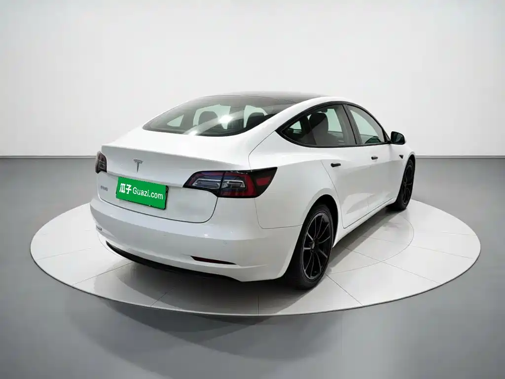 Tesla Model 3 — миниатюра 6