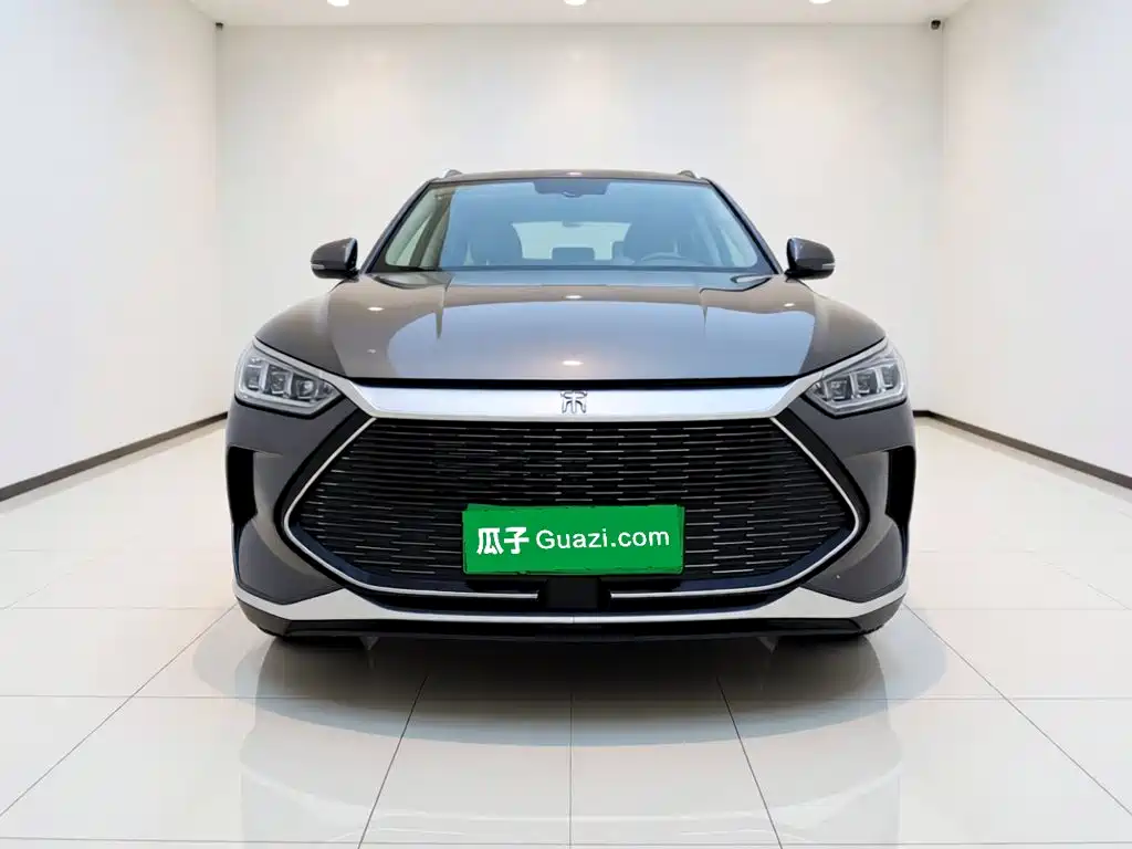 BYD PLUS New Energy — миниатюра 2