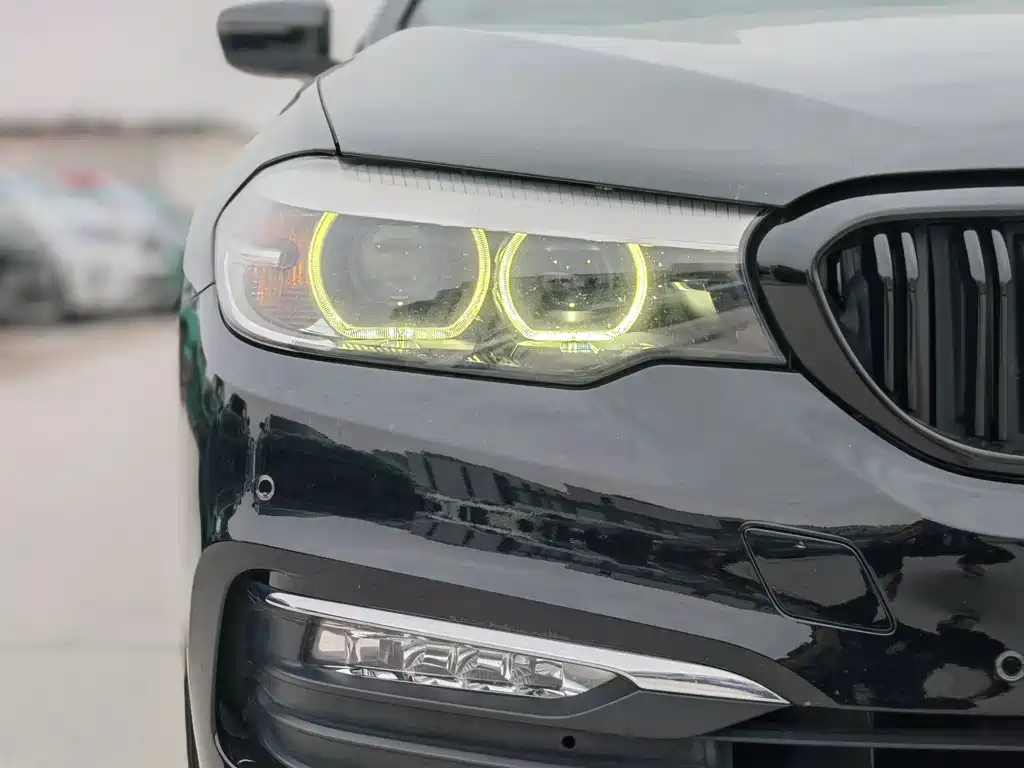 BMW 5 Series 5 2018 528Li