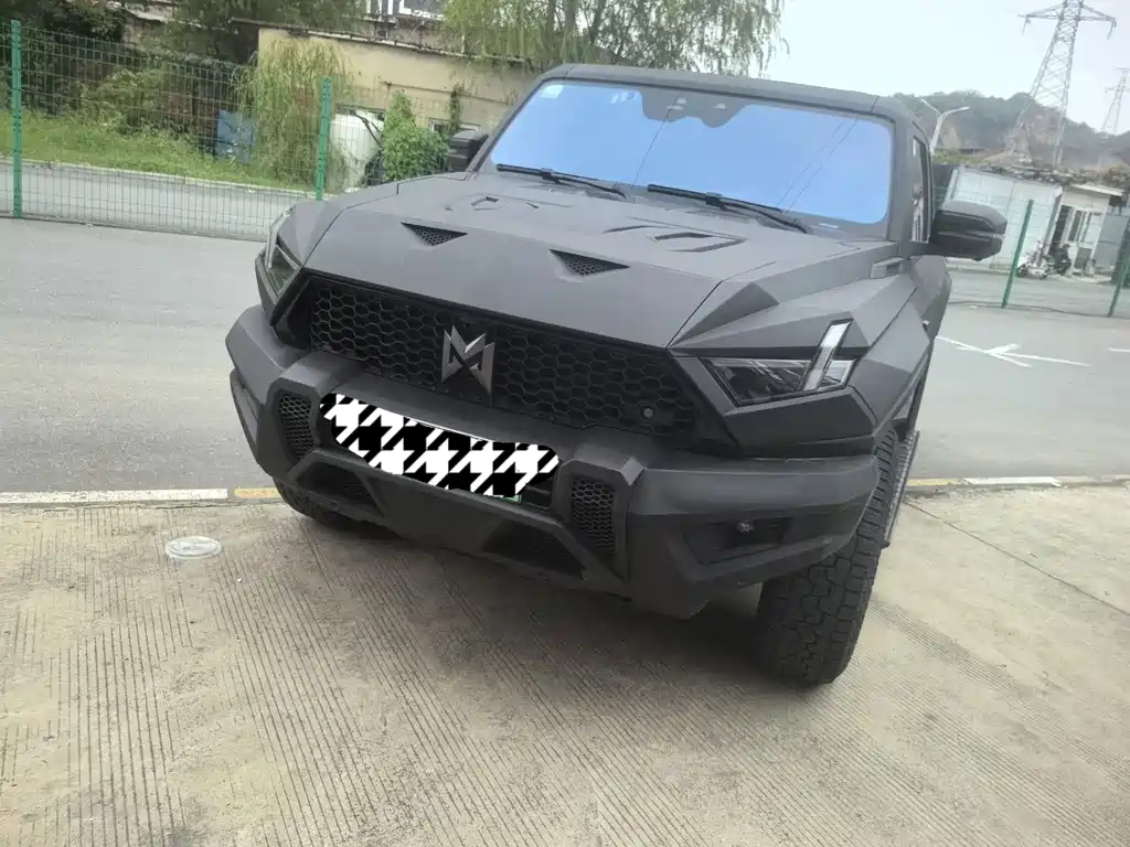 Mengshi Mengshi 917