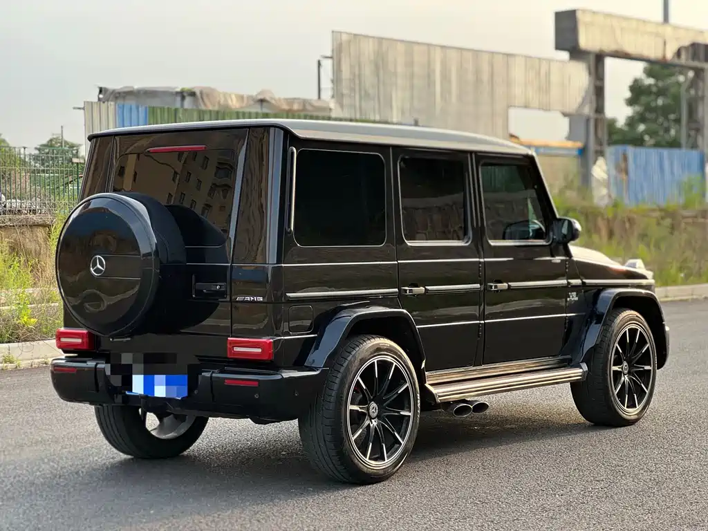Mercedes-Benz G-Class G 2010 G 500