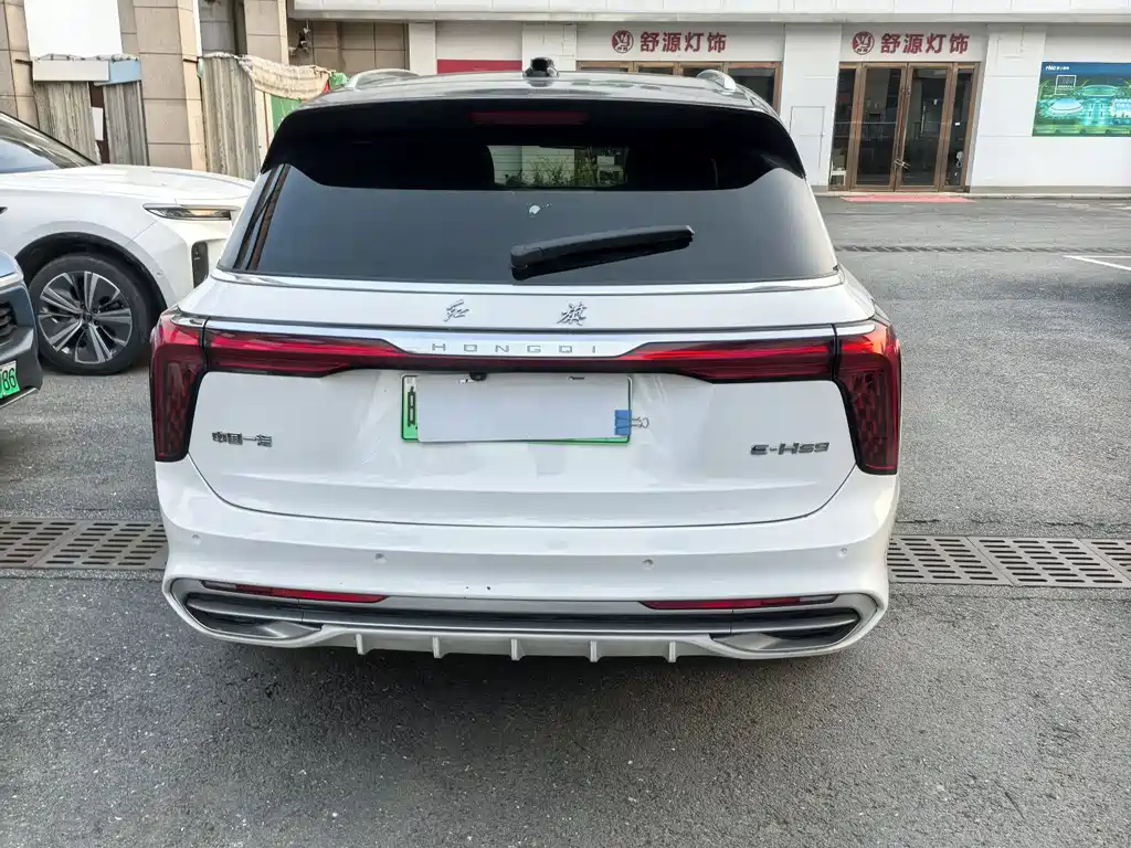 Hongqi E-HS9 2021 460km мест