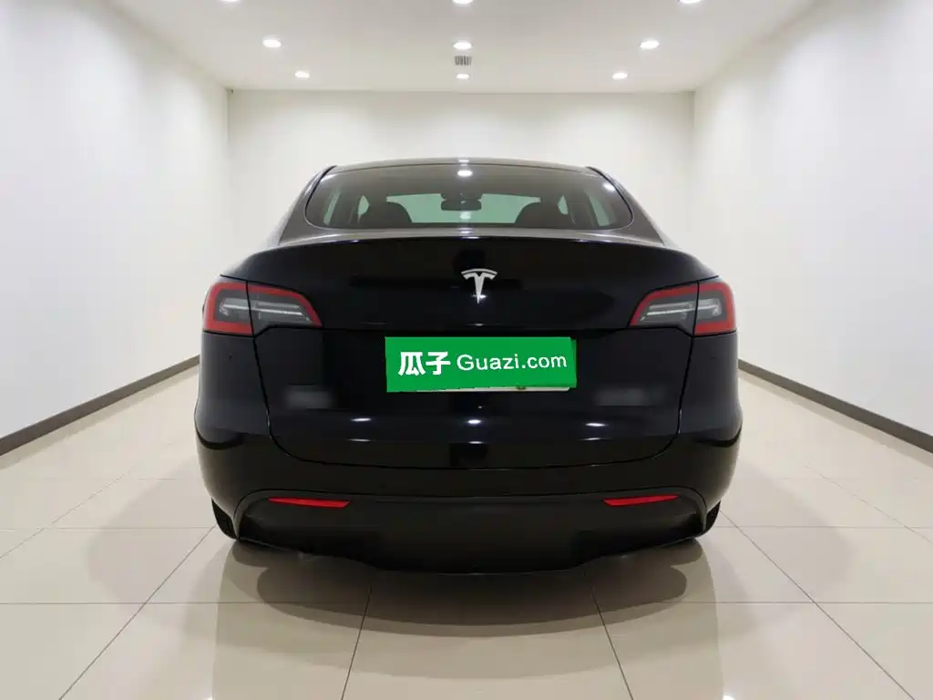 Tesla Model Y — миниатюра 5