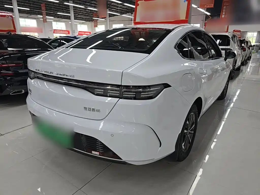 BYD Destroyer 05 2023 Champion DM-i 55KM Luxury