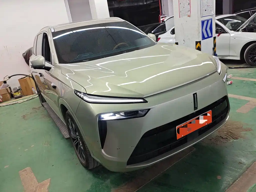 WEI PAI WEI BRAND BLUE MOUNTAIN