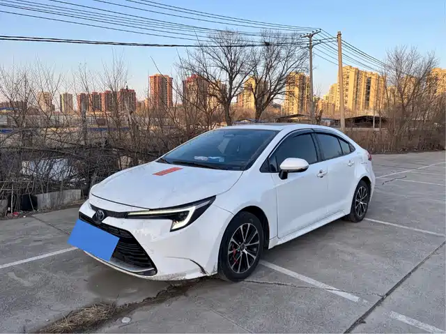 TOYOTA LEI LING 2024