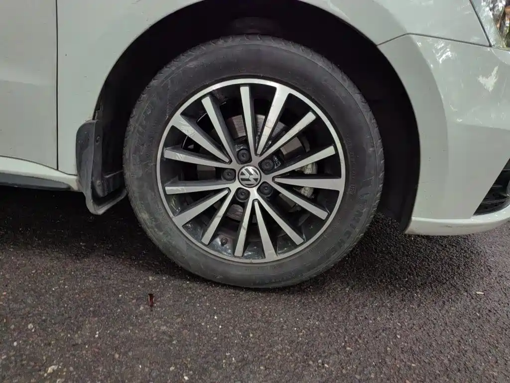 Volkswagen Gran Lavida — миниатюра 8