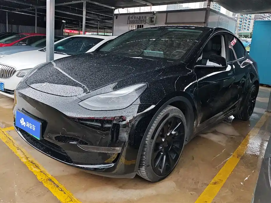 Tesla Model Y 2021 Long Range AWD Edition