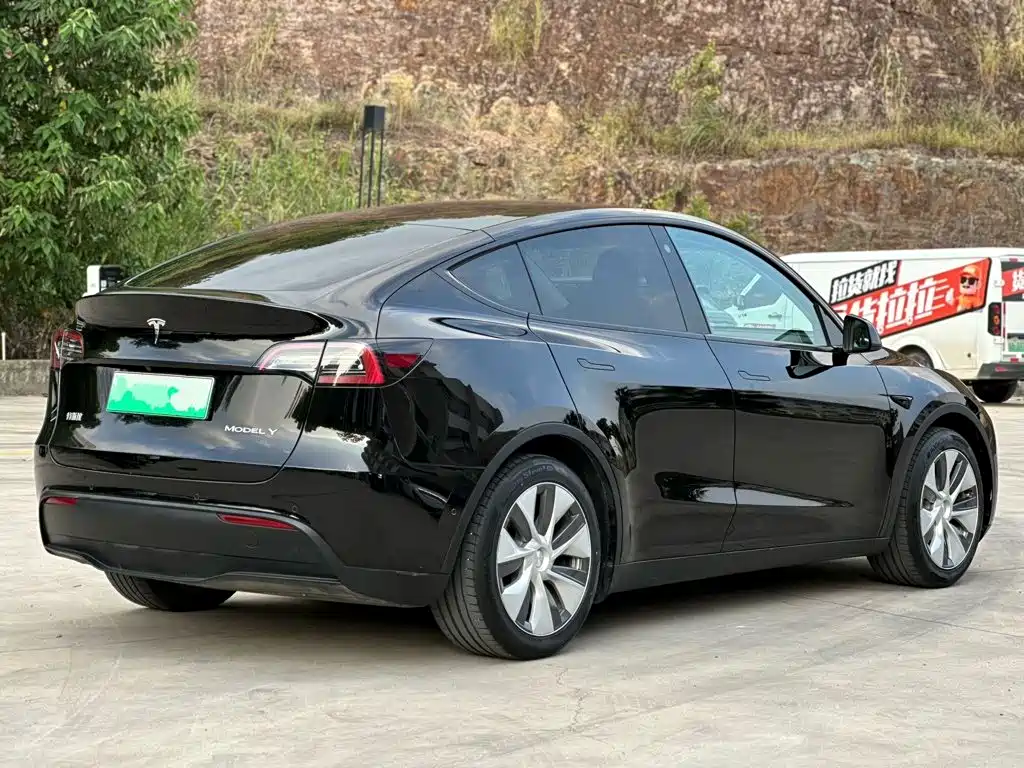 Tesla Model Y — миниатюра 7