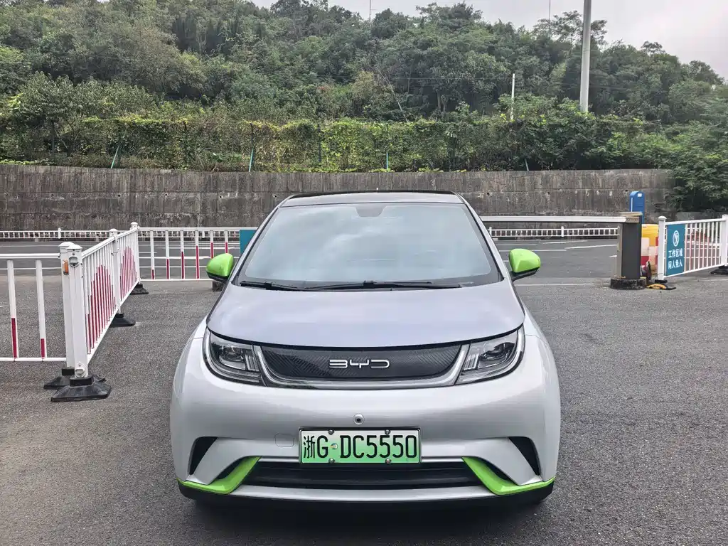 BYD Dolphin — миниатюра 2