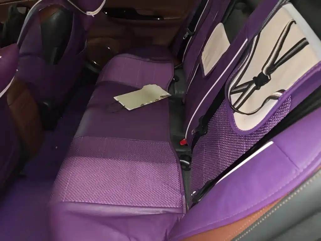BYD Surui — миниатюра 17