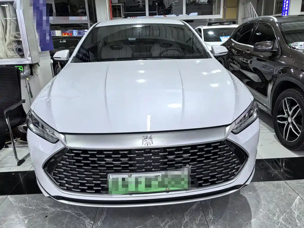 BYD Qin Plus PLUS 2024 DM-i 55KM Lead