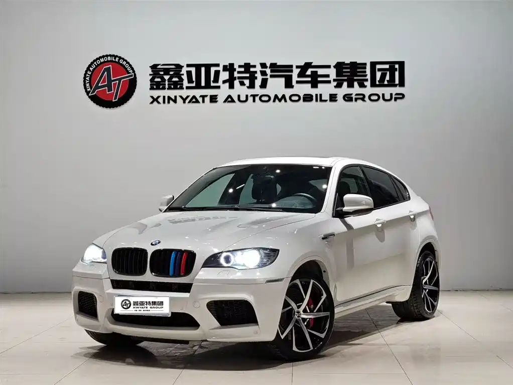 BMW X6 M 2010 X6 M