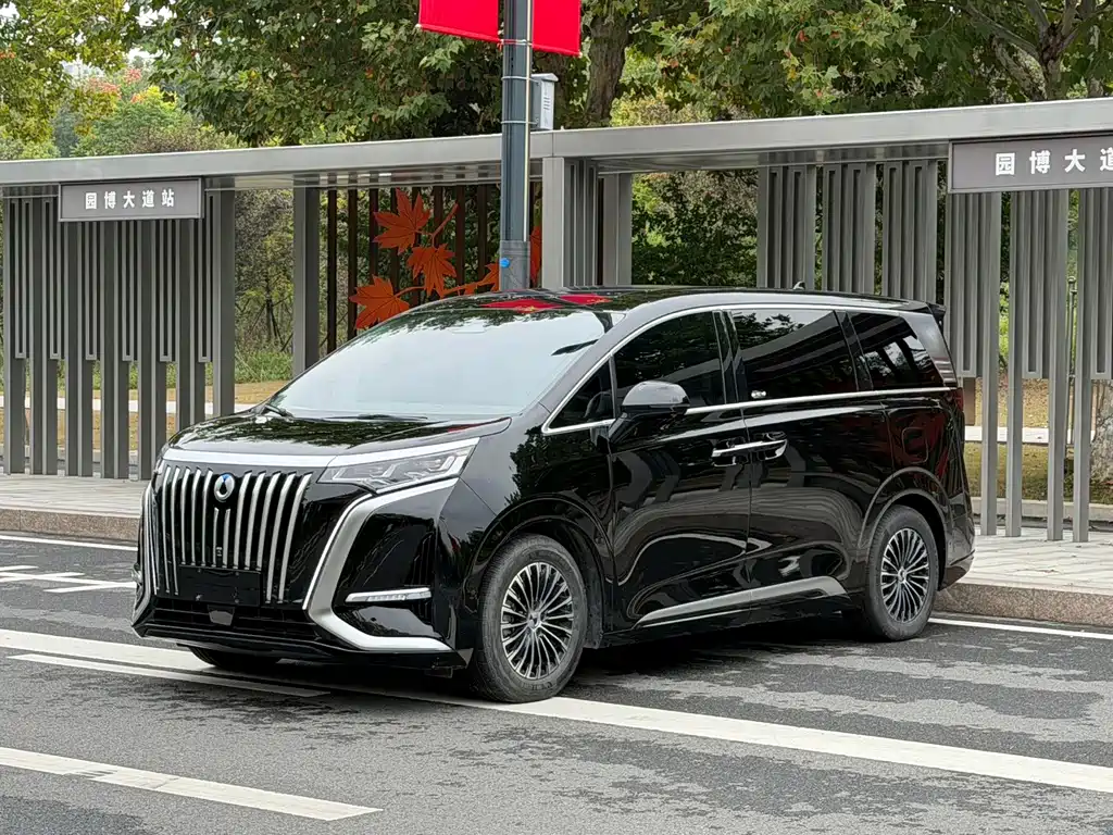 Denza D9