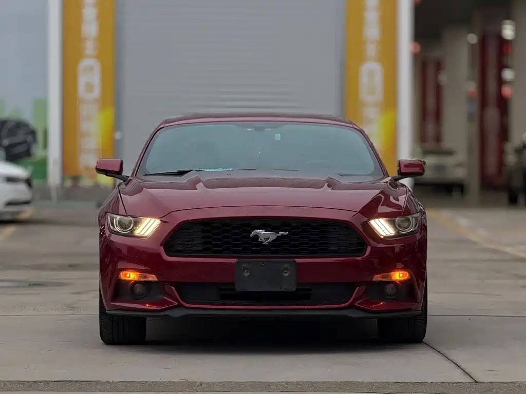 Ford Mustang — миниатюра 2