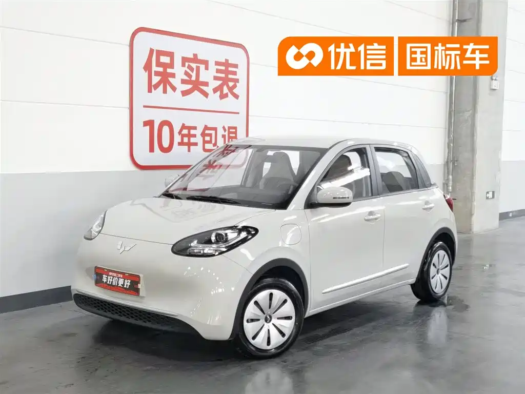 Wuling Binguo 2024 203km Light Enjoy