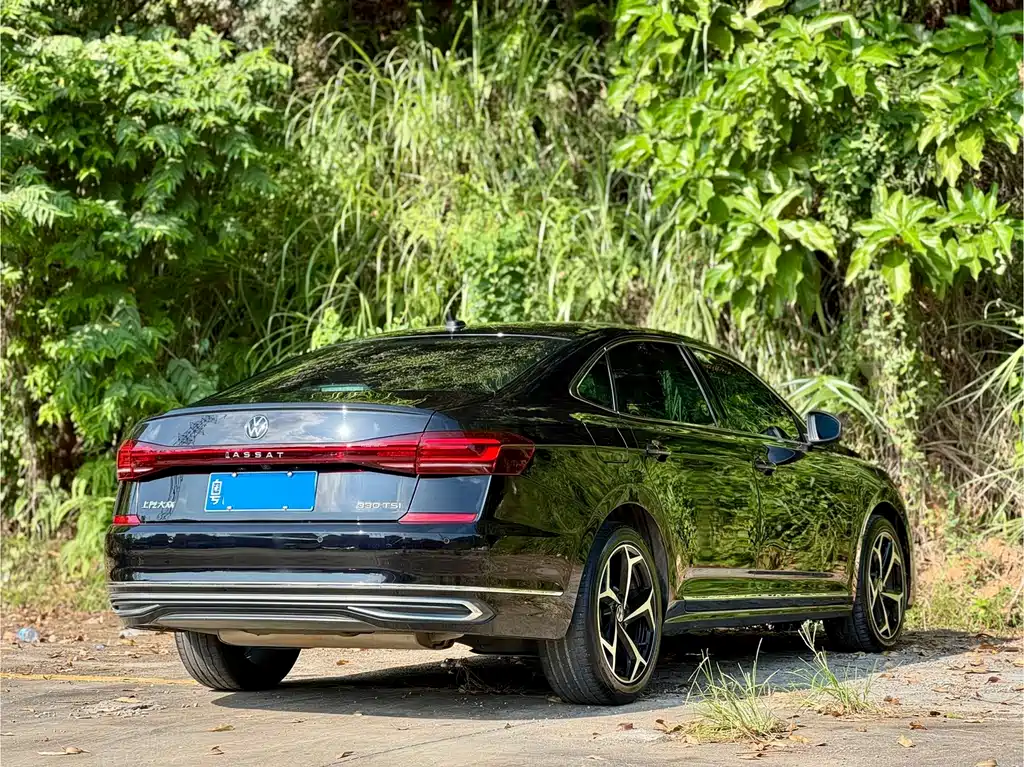 Volkswagen Passat — миниатюра 6