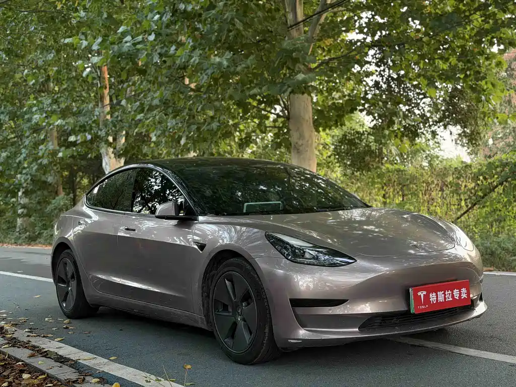 Tesla Model 3 — миниатюра 3