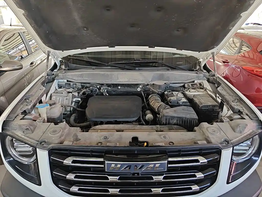 Haval 长城大狗 — миниатюра 20