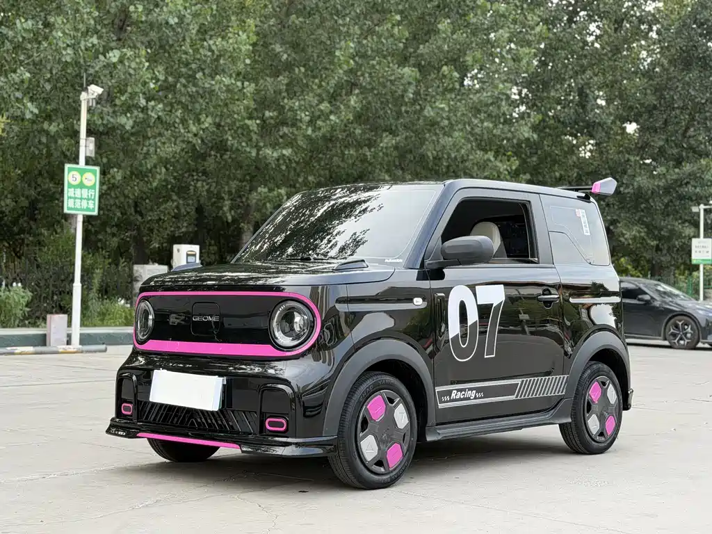 BYD Panda 2025 210km Panda Truck Ding